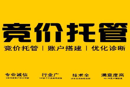 SEM竞价开户实战经验分享：案例精选